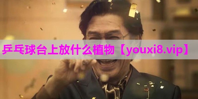乒乓球台上放什么植物