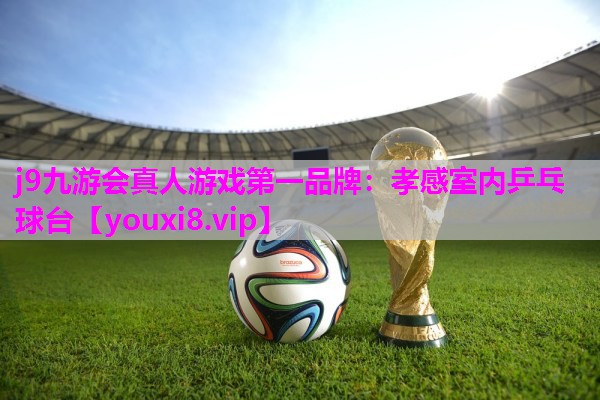 j9九游会真人游戏第一品牌：孝感室内乒乓球台