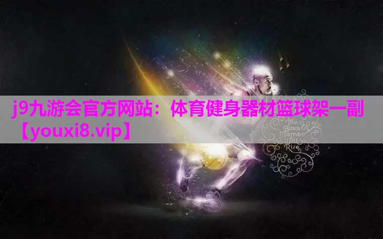 体育健身器材篮球架一副