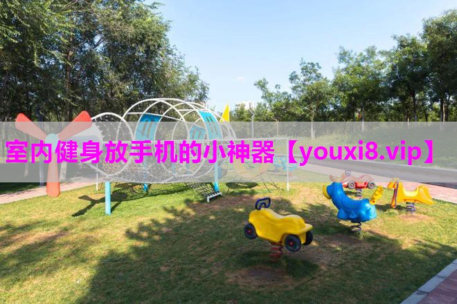 室内健身放手机的小神器