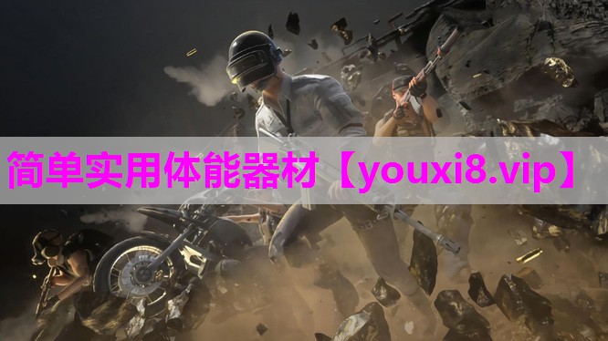 简单实用体能器材